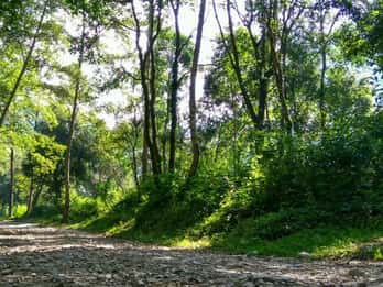 Kathmandu: 3-tägige Wanderung durch den Shivapuri-Nationalpark Kathmandu: 3-tägige Wanderung durch den Shivapuri-Nationalpark