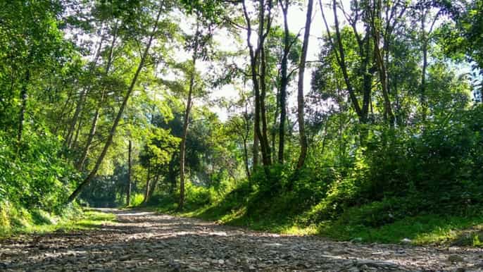 kathmandu 3day trek through shivapuri national park