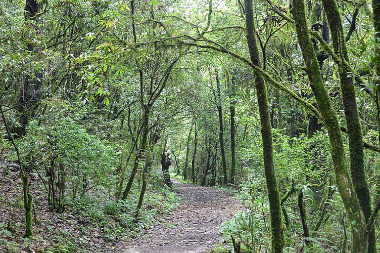 Kathmandu: 3-Day Trek through Shivapuri National Park