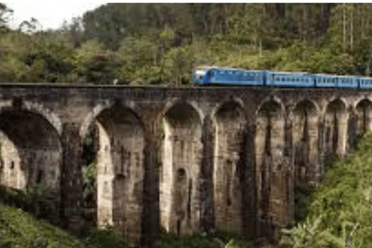 Ella: Full Day 6Highlights Tour by Tuk-Tuk