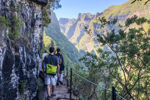 From Funchal or Caniço: Private Hiking Trip with a Local