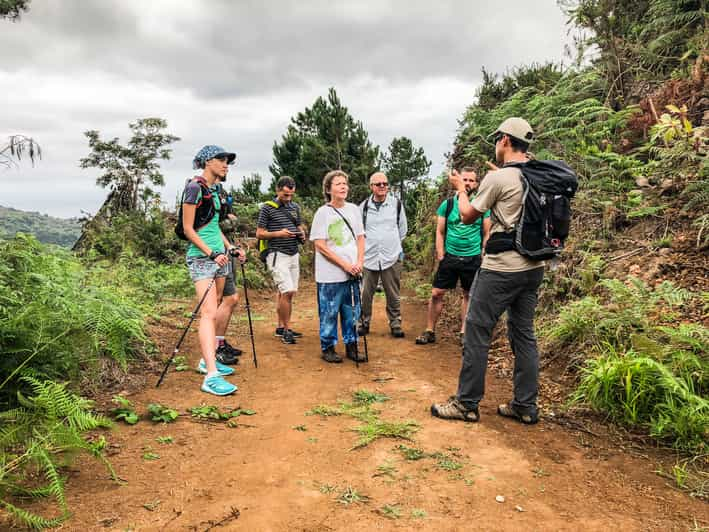 From Funchal or Caniço: Private Hiking Trip with a Local | GetYourGuide