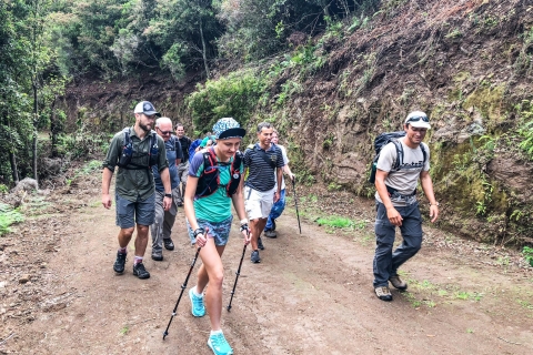 Ab Funchal oder Caniço: Private Wanderung mit GuideAb Funchal oder Canico: Wanderung mit einem Einheimischen