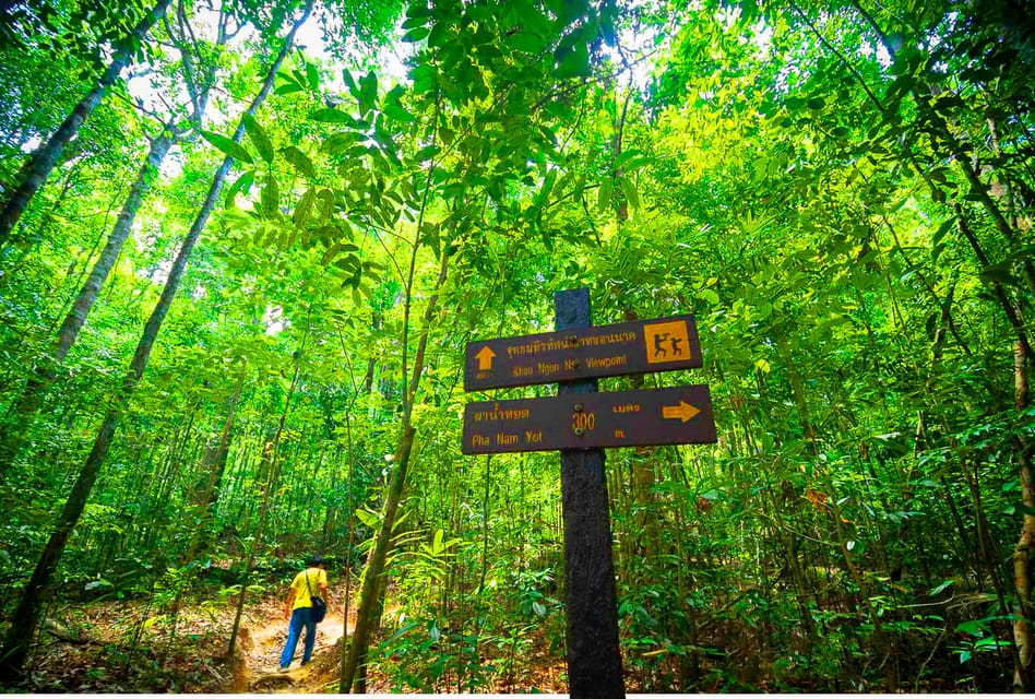 从克拉比,Khao Ngon Nak Trekking经验 - Hizvo