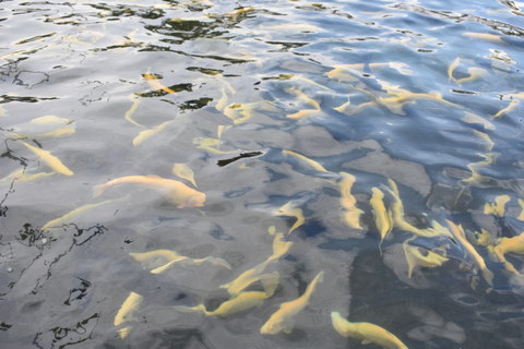 From Puebla: Atlixco & Atlimeyaya Private Tour all included