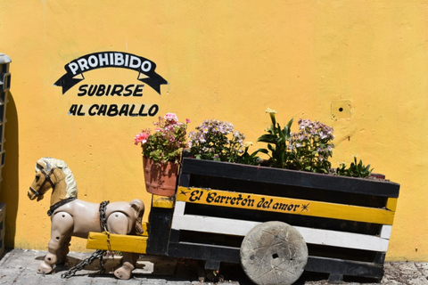 From Puebla: Atlixco & Atlimeyaya Private Tour all included