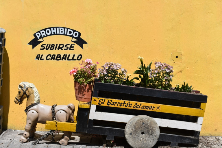 From Puebla: Atlixco & Atlimeyaya Private Tour all included