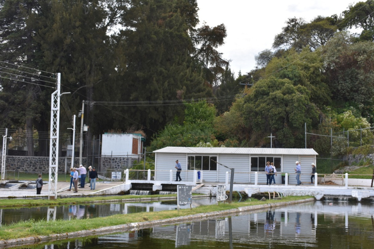 From Puebla: Atlixco & Atlimeyaya Private Tour all included