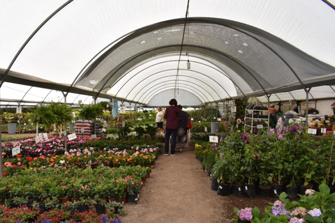 From Puebla: Atlixco & Atlimeyaya Private Tour all included