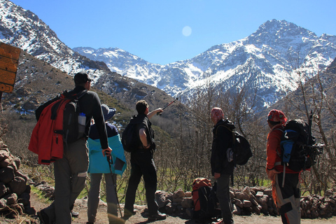 Da Marrakesh: trekking di 2 giorni al monte Toubkal