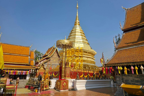 Chiang Mai:Wat Pha Lat,Doi Suthep&Sticky Waterfall Day Trip