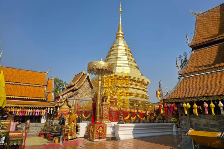 Chiang Mai:Wat Pha Lat,Doi Suthep&Sticky Waterfall Day Trip
