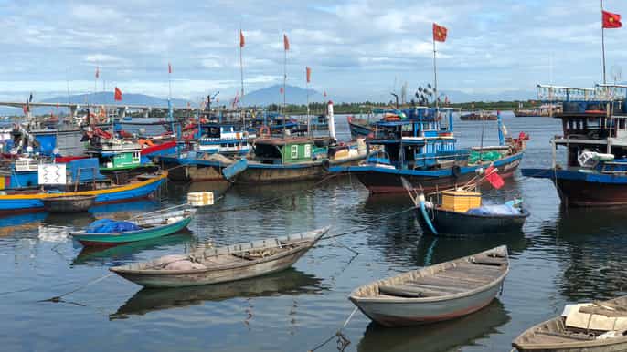 hoi an private 2hour early morning fish market tour