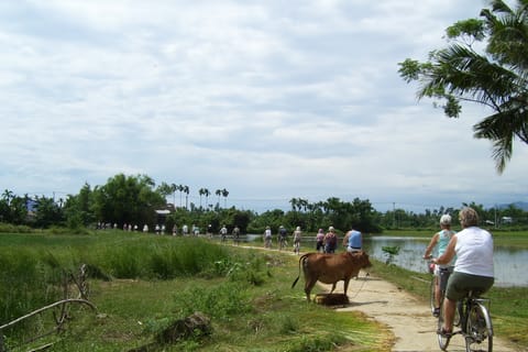 Hoi An: Cam Kim Island Cycling and River Cruise