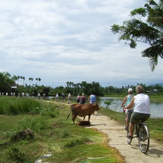 Hoi An: Cam Kim Island Cycling and River Cruise