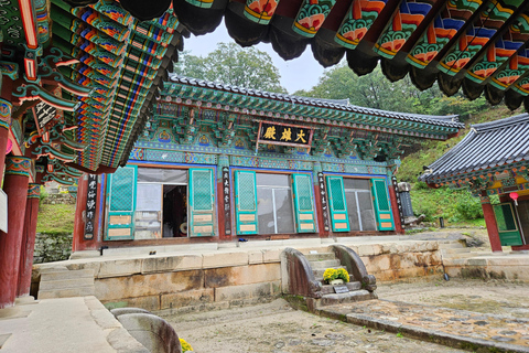 Chuncheon: Temple, Lake Cruise & Forest Escape