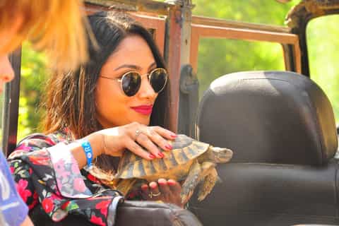 From Kusadasi: Full-Day Jeep Safari to National Park
