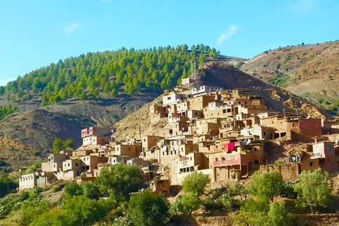 Depuis Marrakech : une journée dans la vallée de l'Ourika