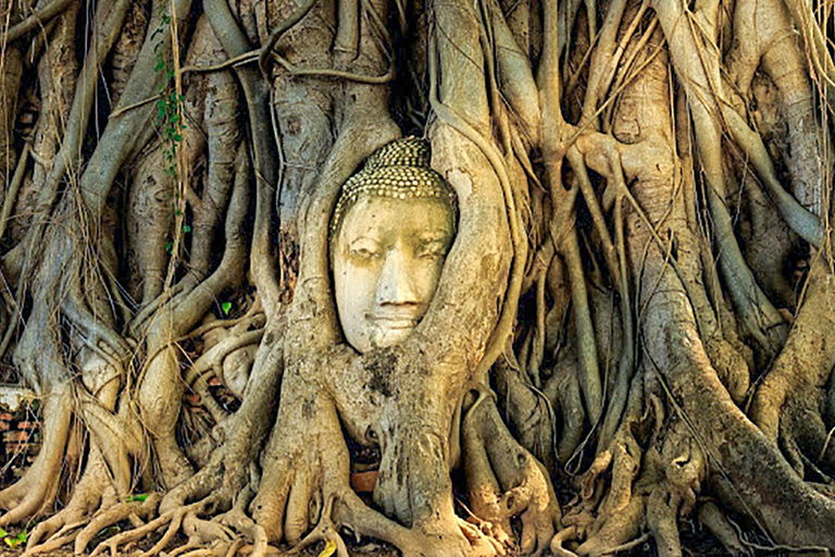 Van Bangkok: Ayutthaya-dagtour per auto en cruise in het SpaansPrivétour met hoteltransfers in het centrum van Bangkok