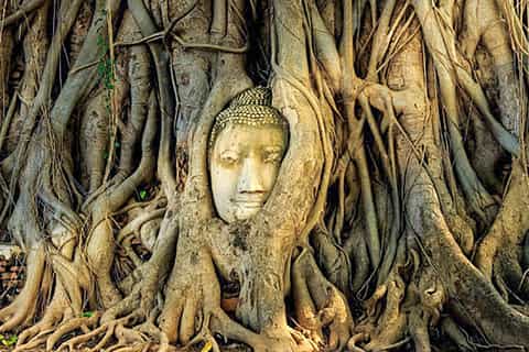 Da Bangkok: tour di Ayutthaya in auto e crociera in spagnolo