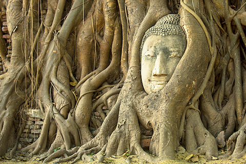 Van Bangkok: Ayutthaya-dagtour per auto en cruise in het SpaansPrivétour met hoteltransfers in het centrum van Bangkok