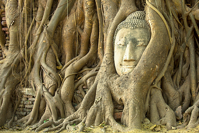 Van Bangkok: Ayutthaya-dagtour per auto en cruise in het SpaansPrivétour met hoteltransfers in het centrum van Bangkok