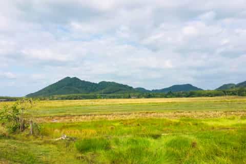 Koh Yao Noi: Full-Day Thai Culture Cycling Tour
