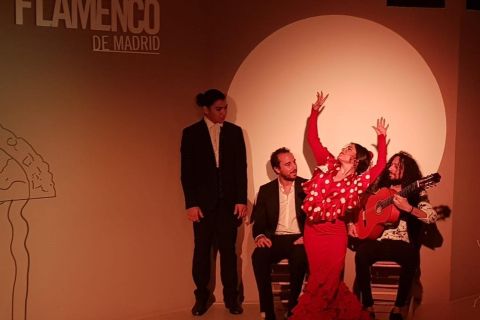 Madrid : 1 h de flamenco traditionnel au Centro Cultural