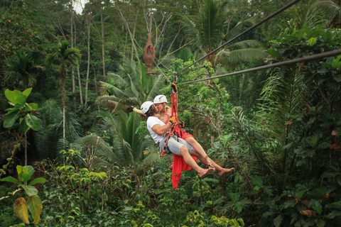 Ubud: avventura di mezza giornata in zipline e altalena nella giungla