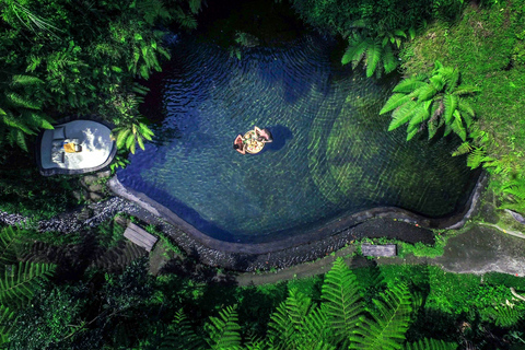 Ubud: Halvdagsäventyr med zipline och djungelsvingar