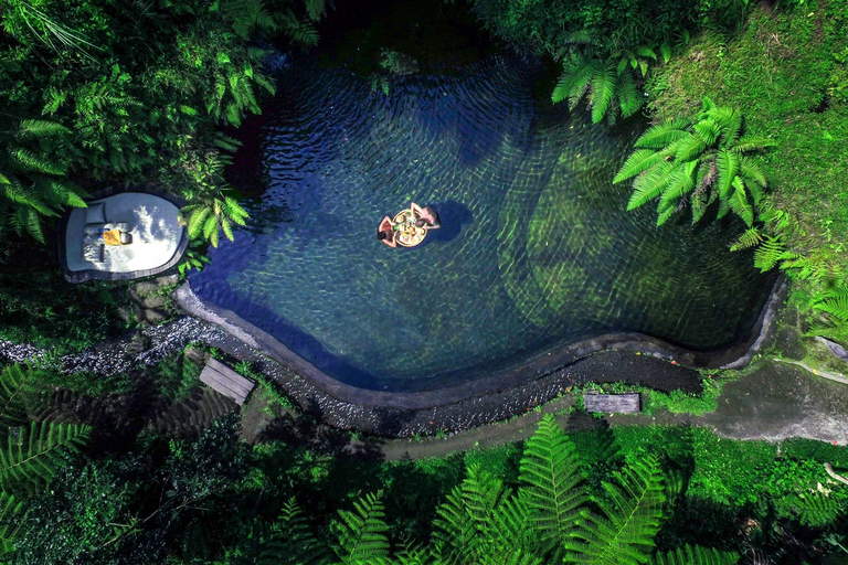 Ubud: Halvdagsäventyr med zipline och djungelsvingar