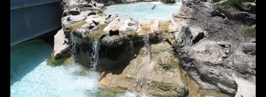 Nouméa : Aquarium du Lagon et bus à arrêts multiples - HOHO