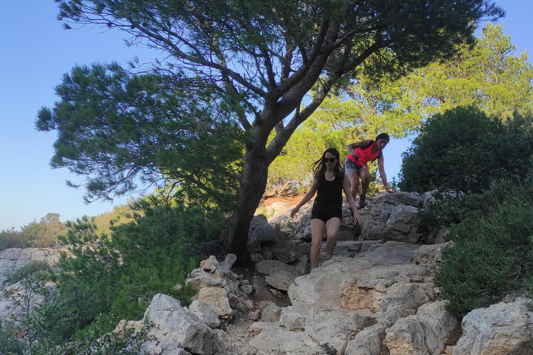 Marseille: Calanques National Park Guided Summit Hike Private tour : From coast to one of Calanques' park summit