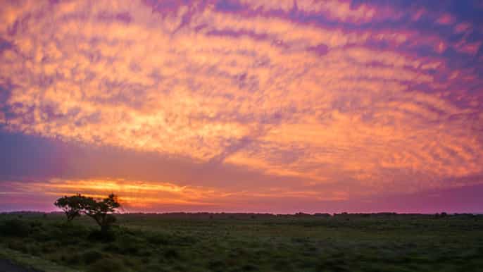 desde santa lucía isimangaliso sunset safari