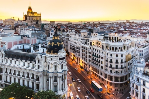 Madrid: Cibeles Palace & Retiro Park Walking TourPrivétour