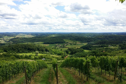 Zagreb: Excursión de un día al Castillo de cuento de hadas con cata de vinos y almuerzo