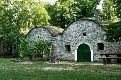 Från Budpaest: Páty Wine Village Tour med provsmakningar