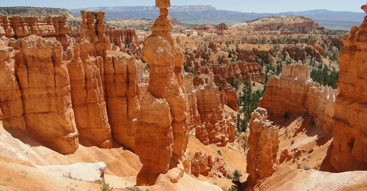 Bryce Canyon National Park: 3-Hour Sightseeing Tour