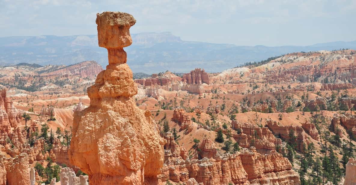 Bryce Canyon National Park: 3-Hour Sightseeing Tour