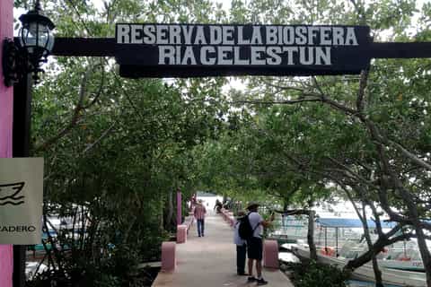 From Mérida: Ria Celestun Biosphere Reserve Tour