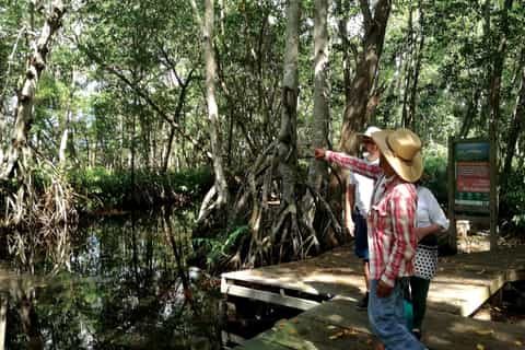 From Mérida: Ria Celestun Biosphere Reserve Tour