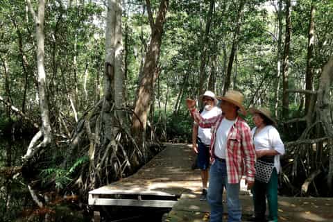 From Mérida: Ria Celestun Biosphere Reserve Tour