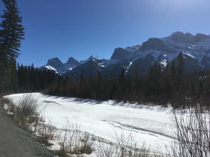Canmore Wilderness and Wildlife Viewing Walking Tour GetYourGuide