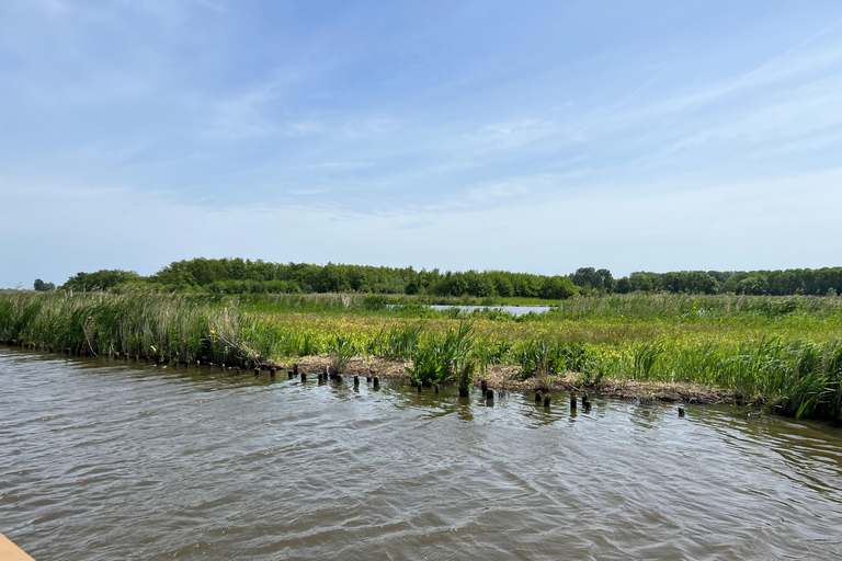 Rotterdam: corazón verde Midden-Delfland: Tour en barco de lujo