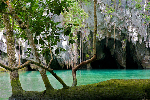 Puerto Princesa: Underground River and Firefly Watching Tour Underground River and Firefly Tour