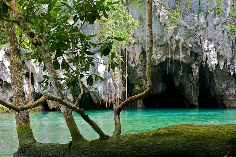 Puerto Princesa: visite d'observation de la rivière souterraine et des luciolesVisite de la rivière souterraine et des lucioles