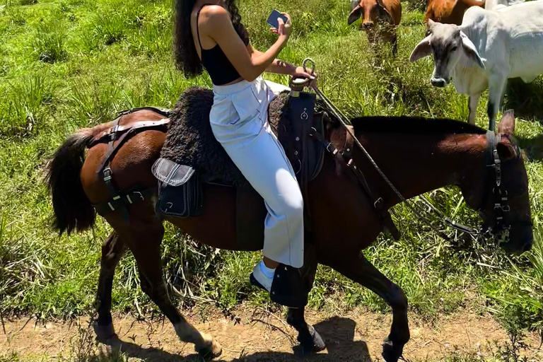 Medellín: Horseback Riding, Glamping, & Finca 360° view Stay