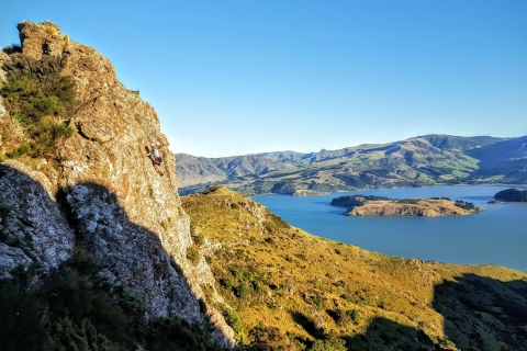 Christchurch: Klettern mit Guide, Mittagessen und TransportHotelabholung und -abgabe im Zentrum Christchurchs