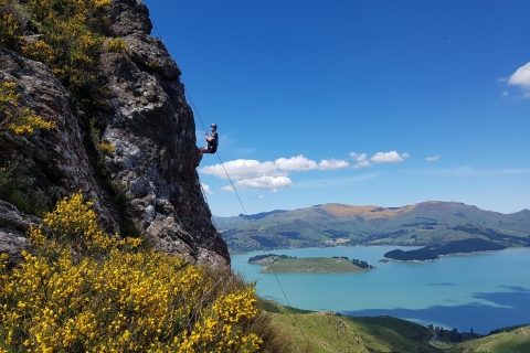 Christchurch: escalada en roca con guía, almuerzo y transporteRecogida y regreso al hotel en el centro de Christchurch