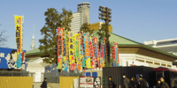 Tokyo, Sumo Wrestling Tournament Ticket with Guide - Housity